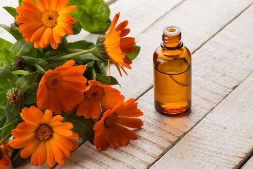 La teinture de calendula est un remède simple pour le traitement de l'ostéochondrose.